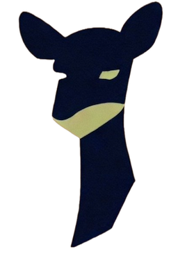/images/png/vicuna.png